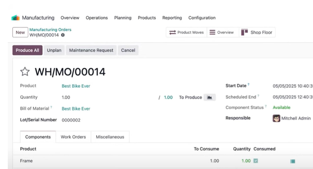 Odoo ERP Implementation Partner in Maldives