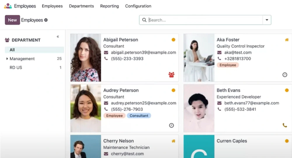 Odoo ERP Systems in Maldives