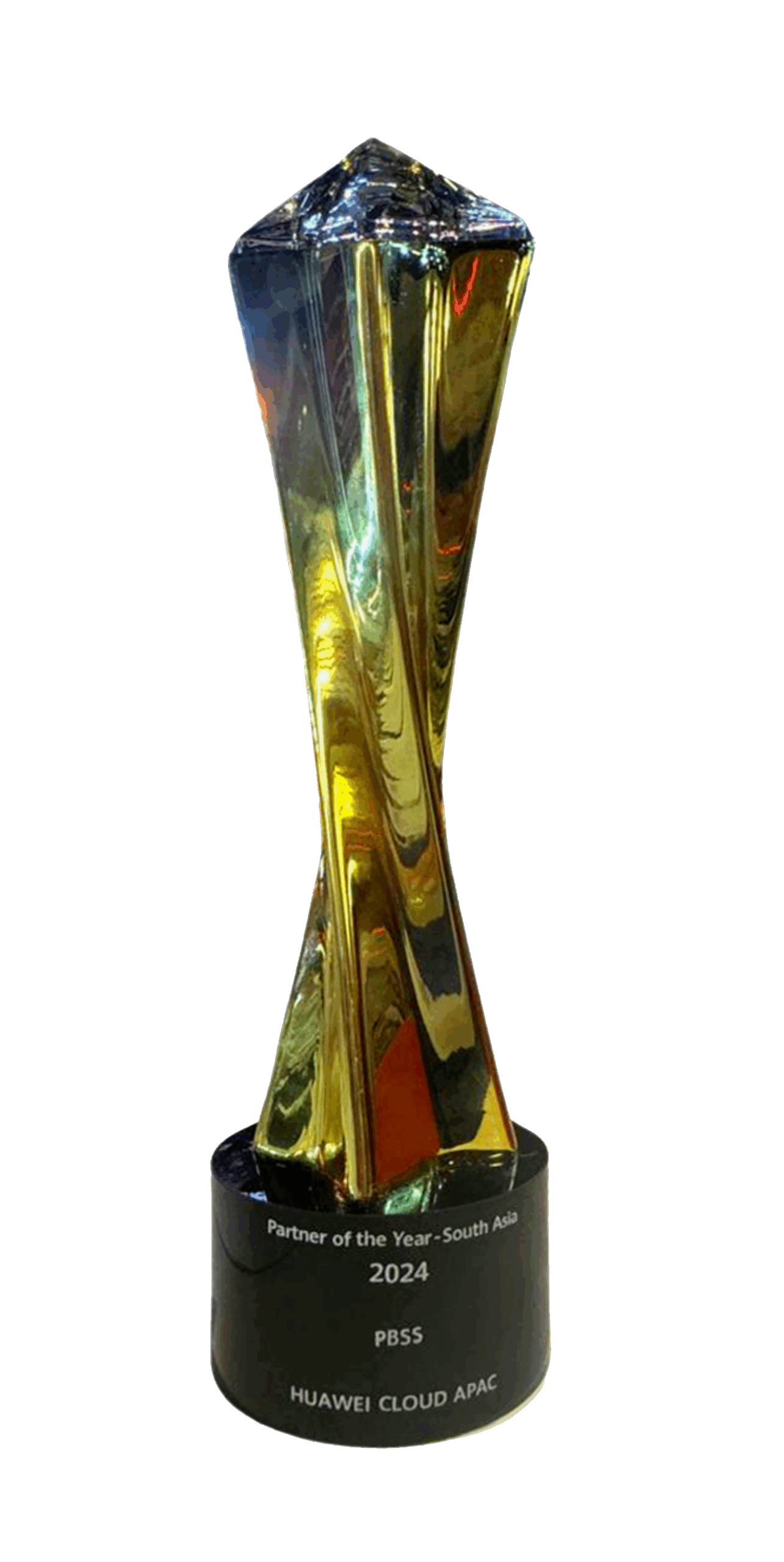 PBSS Group has been awarded the Partner of the Year South Asia 2024
