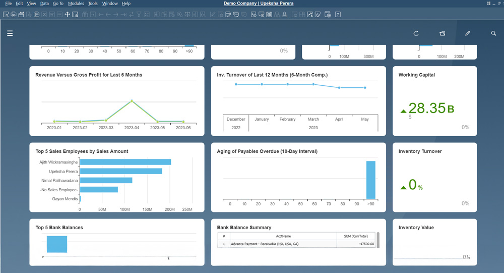 SAP Business One Sri Lanka