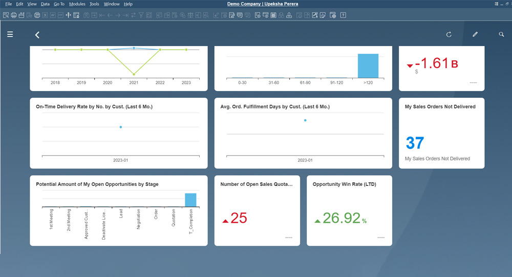 SAP B1 Implementation Partner in Sri Lanka